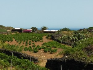 Dammusi e muretti a secco