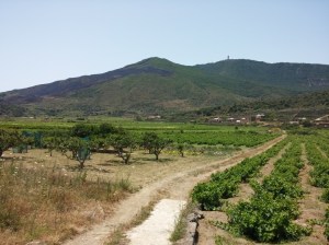 Vista sul monte Gibele