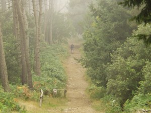 Passeggiata sulla vetta del Monte Perone