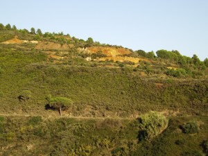 Monte Calamita