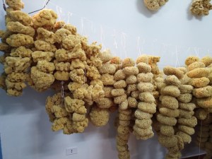 Negozio di spugne in paese