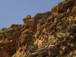 Sentiero che porta dalla spiaggia dei conigli a cala pulcino