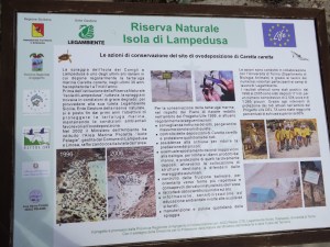 Cartello che descrive la riserva naturale dell'isola dei Conigli