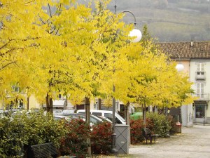 Piazzetta principale di Santo Stefano Belbo