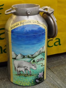 Damigiana di latte dipinta al mercato di Diano D'Alba